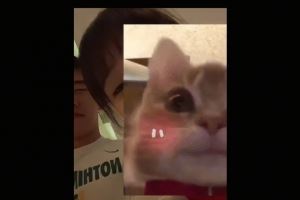 女網(wǎng)友曬與王俊杰遮臉合照評論區(qū)淪陷 網(wǎng)友猜測是其女友但被否認